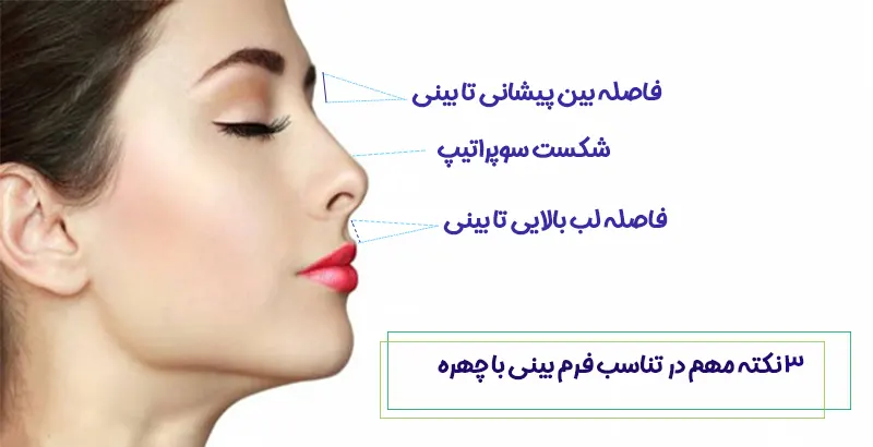 تناسب فرم بین با چهره